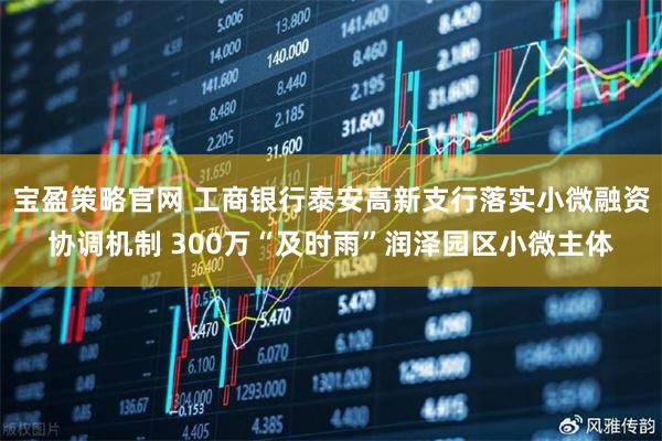 宝盈策略官网 工商银行泰安高新支行落实小微融资协调机制 300万“及时雨”润泽园区小微主体